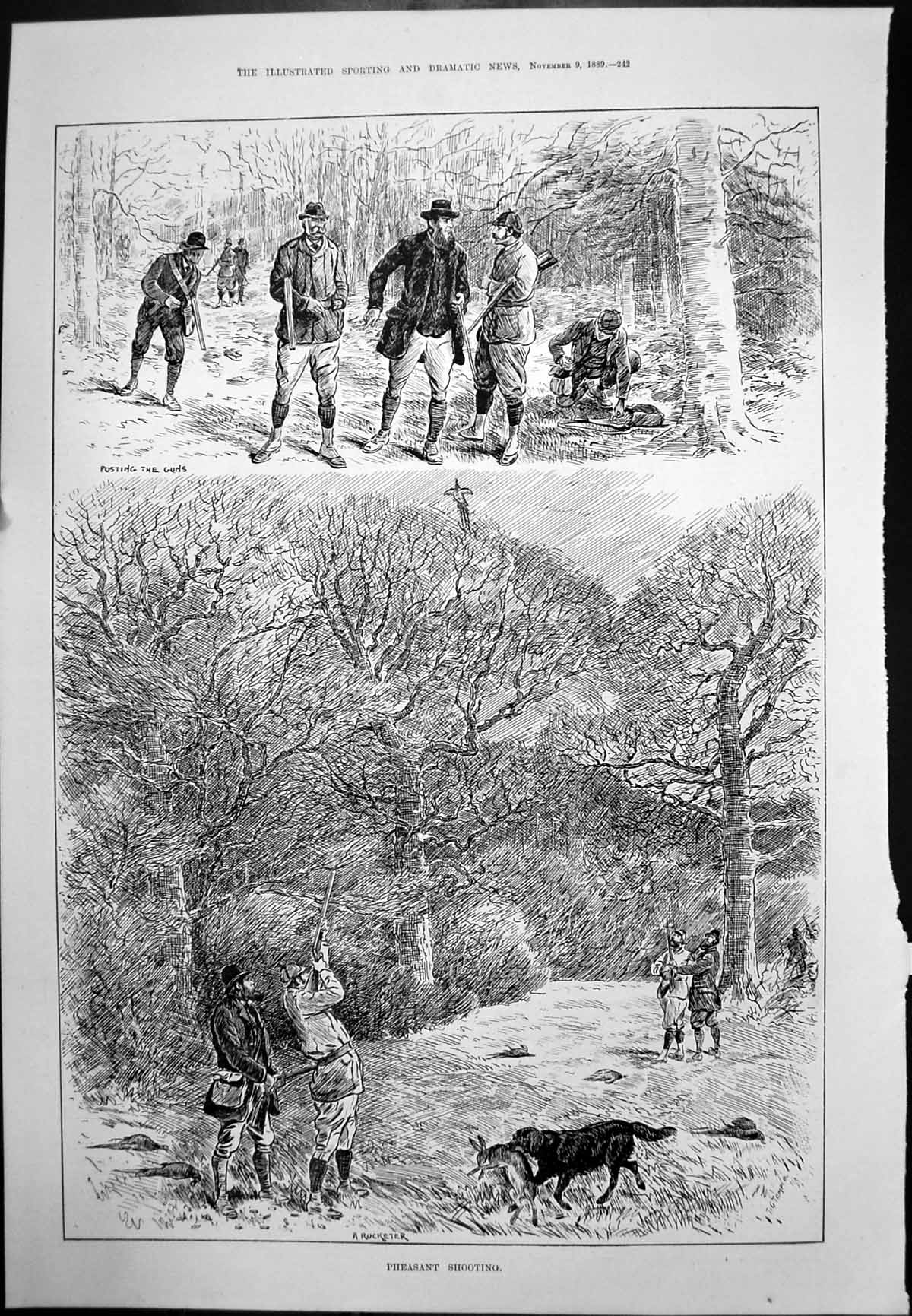Old Antique Print Pheasant Shooting Woodland The Late Lord Falmouth 1889 19th