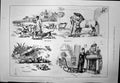 Antique Print After Hunting Season Recreation Repopulation Caricatures 1886