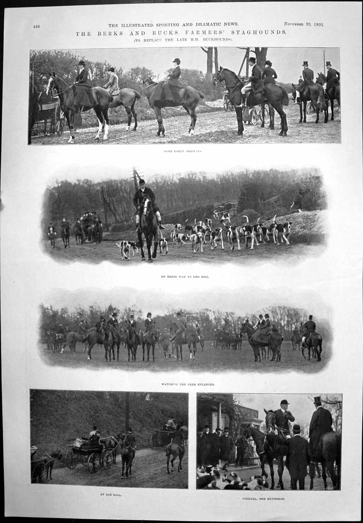 Old Print Berks And Bucks Farmers Staghounds Jipps In Search Hunter 1901 20th