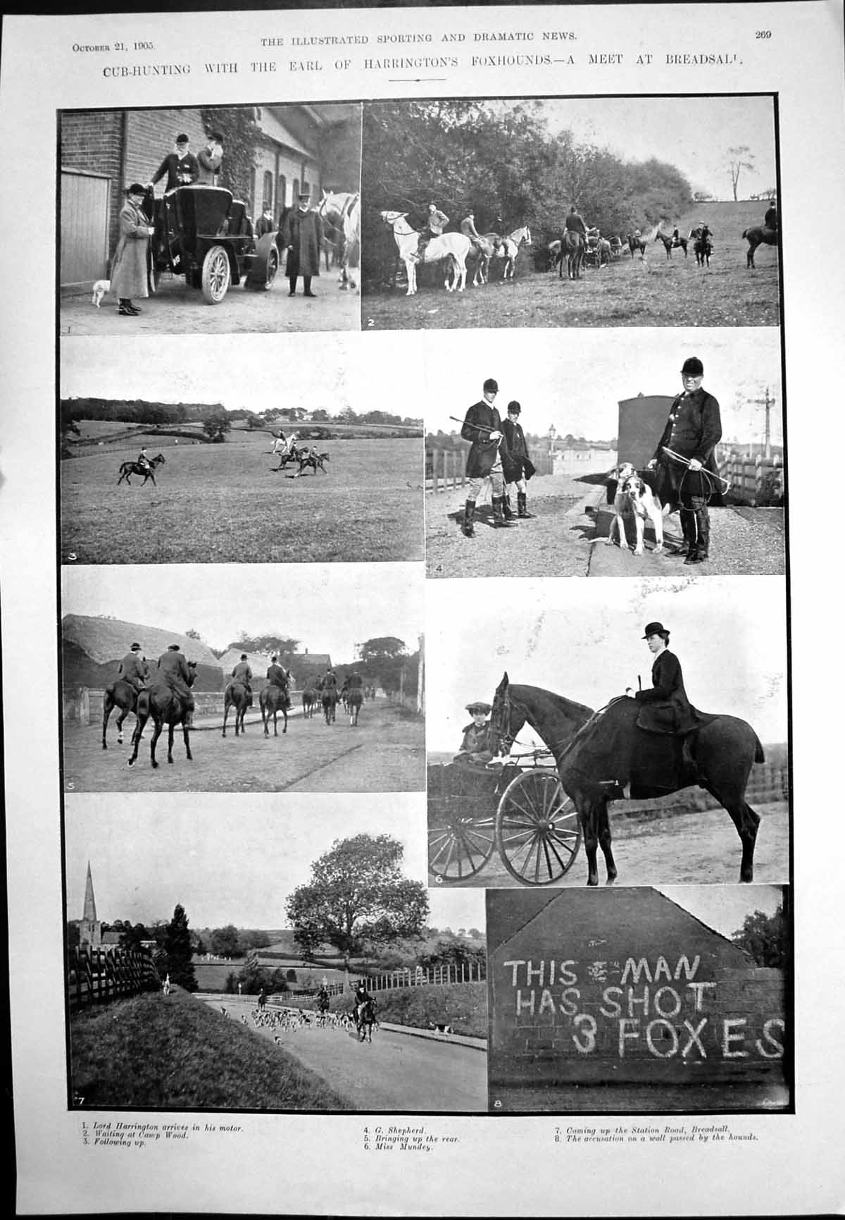 Antique Print Cub-Hunting Earl Harrington'S Foxhounds Merchant Venice 1905 20th