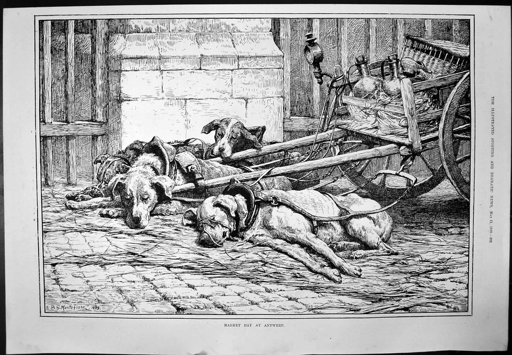 Antique Print Market Day At Antwerp Dogs Sleeping Cart Beecham'S Pills 1889