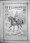 Antique Print Elliman'S Embrocation Advert Horse Sier Jewellery Sale 1898 19th