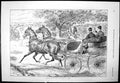 Antique Print Horses Carriage Man Penny Farthing Mr F Schilling Rower 1893 19th