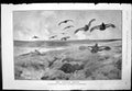 Antique Old Print Grouse Drive A Wardle Summer Days G Wright Hay Horses 1921