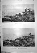 Antique Print Duck Shooting Shared Spoils Mrs Austin Walked Down Aisle 1898