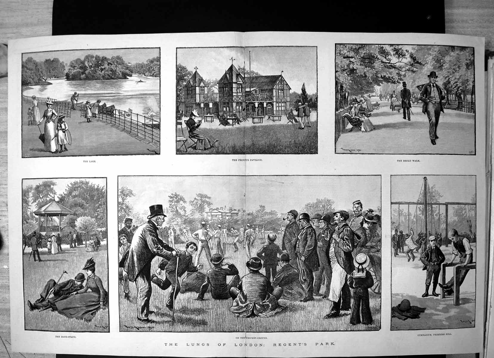 Old Print Lungs London Regents Park Lake Princes Pavilion Gymnasium 1890 19th