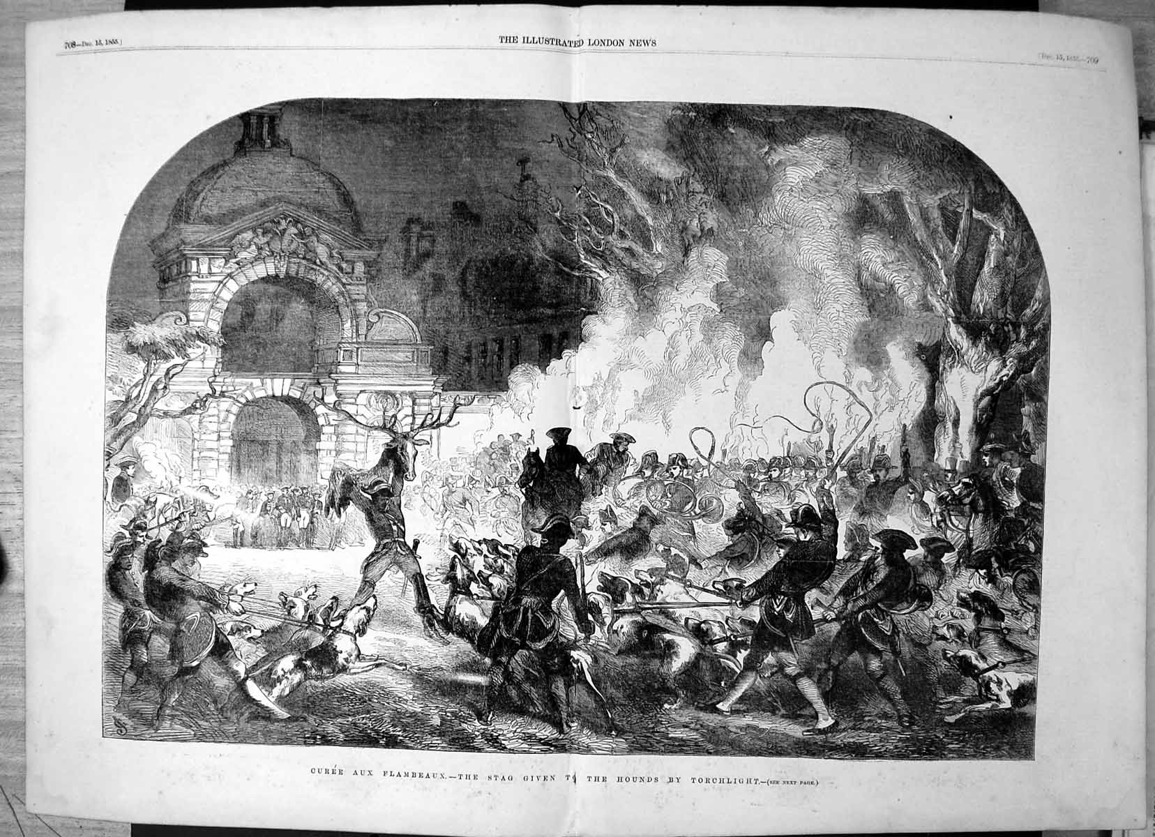 Old Antique Print Curee Aux Flambeaux Stag Given Hounds Torchlight 1855 19th