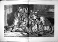 Original Old Antique Print Lioness Cubs S Carter Mother Four Cubs 1881 19th