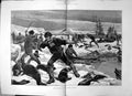 Original Old Antique Print Seal Hunting Arctic Regions Boats Knives Hooks 1887