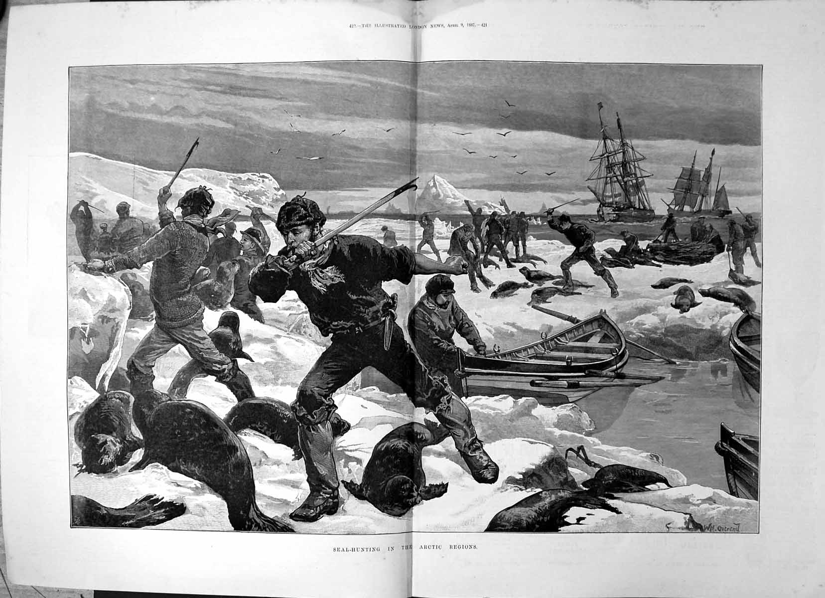 Original Old Antique Print Seal Hunting Arctic Regions Boats Knives Hooks 1887