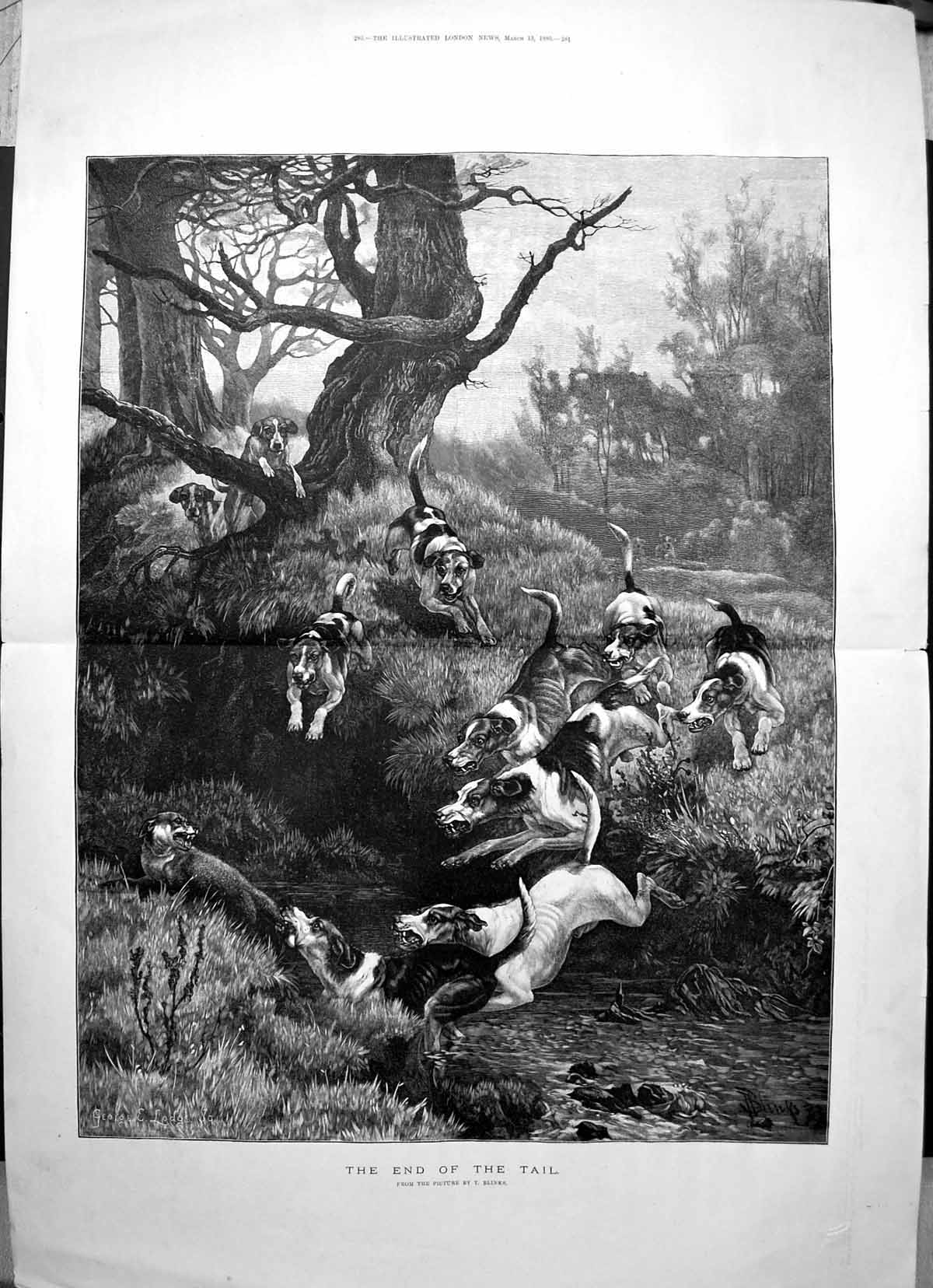 Original Old Antique Print End Tail T Blinks Pack Hounds Foxes Tail Mouth 1886