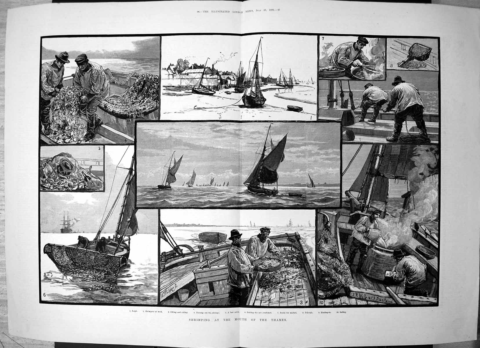 Old Print Shrimping Mouth Thames Sifting Culling Net Market Boiling 1883 19th