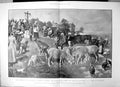 Antique Old Print Fete St Roch Auvergne Priest Blessing Flocks St Pierre 1902
