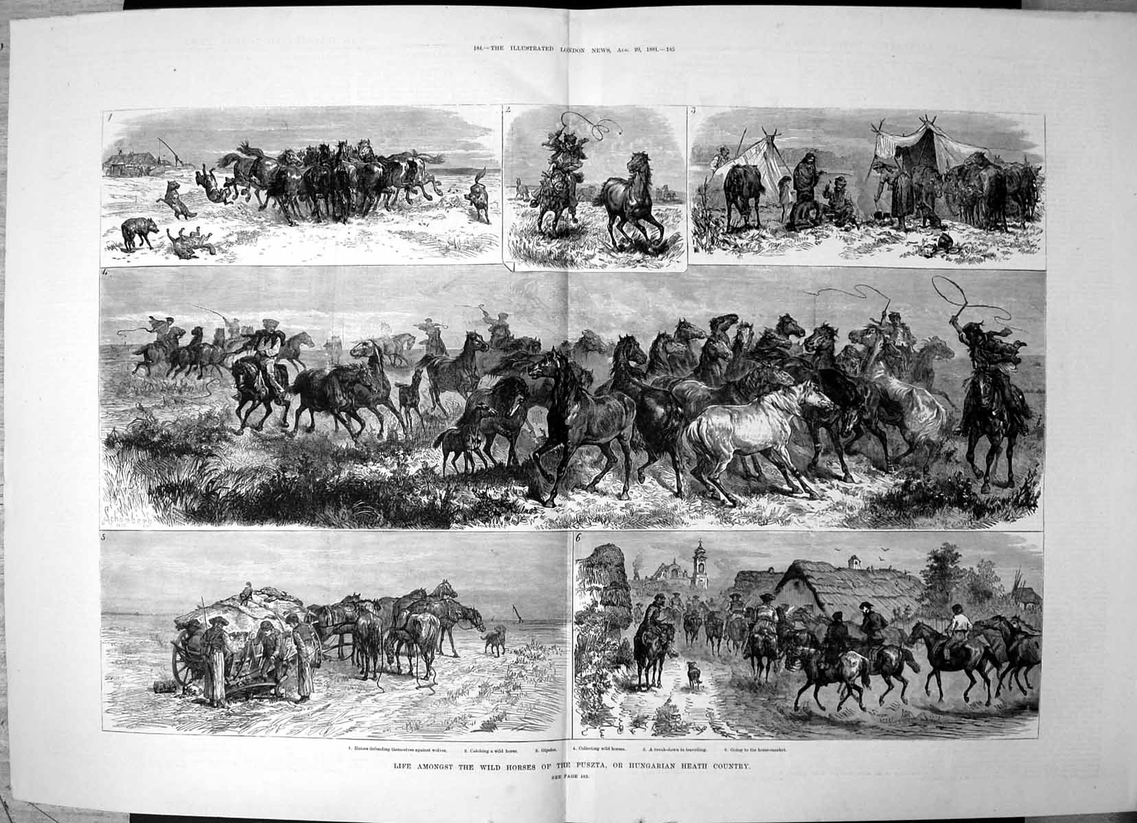 Antique Print Life Amongst Wild Horses Puszta Hungarian Heath Country 1881 19th