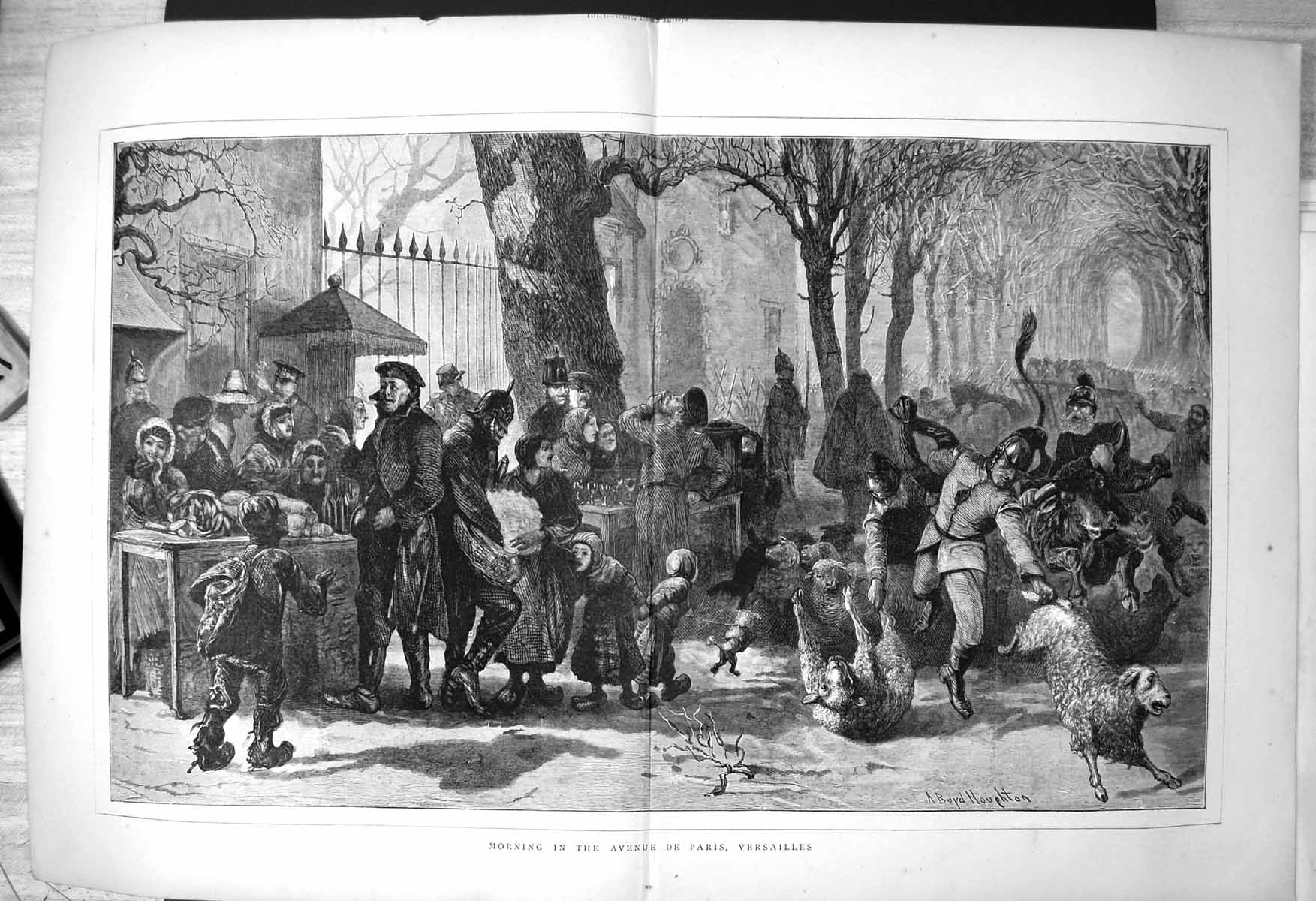Old Morning Avenue De Paris Versailles Market Stalls Catching Sheep 1870 19th