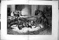 Old Winters Tale Hall Fire J Charlton Dogs Large Small Lying Rug Fire
