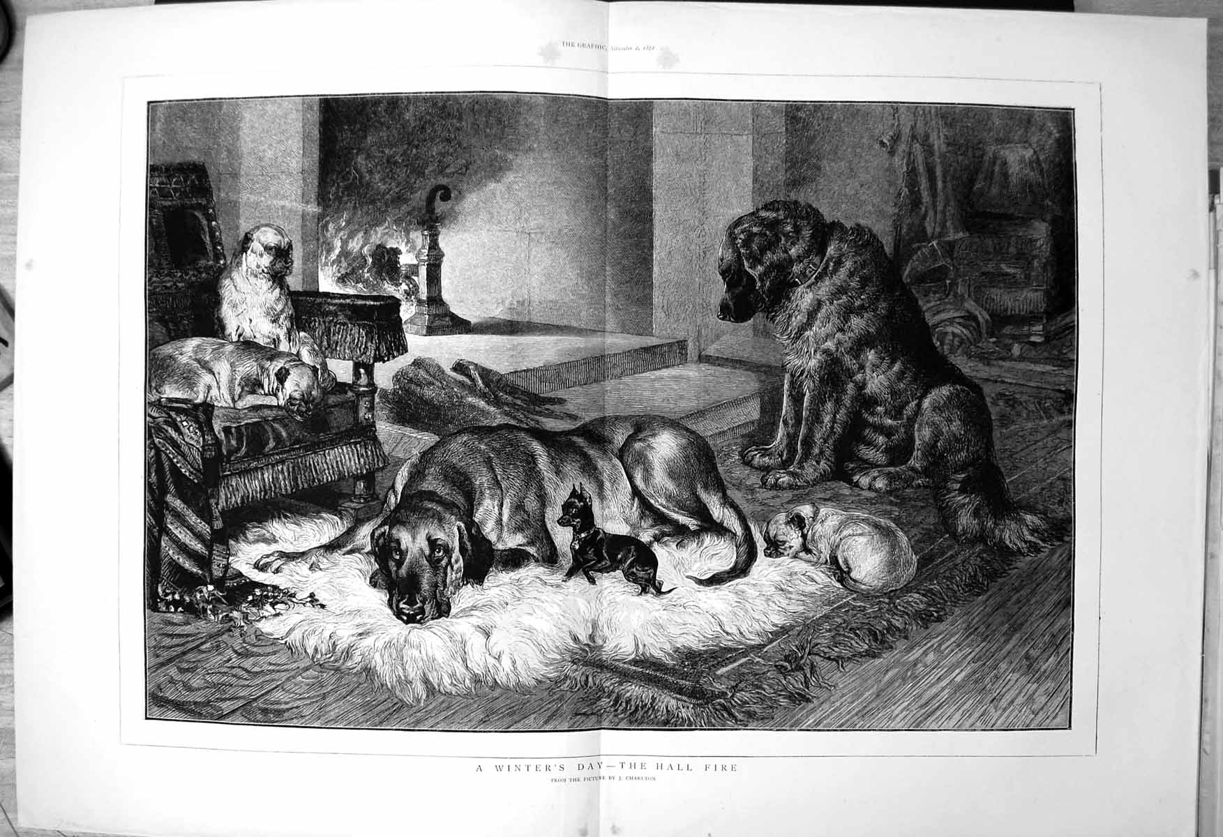 Old Winters Tale Hall Fire J Charlton Dogs Large Small Lying Rug Fire