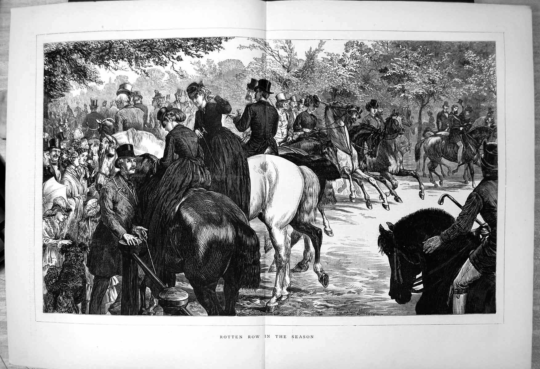 Antique Old Print Rotten Row In Season Ladies Gents Tophats Horseback 1871 19th