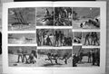 Antique Print Surveying New Guinea Coast Night Pack Traps Natives Boat 1889