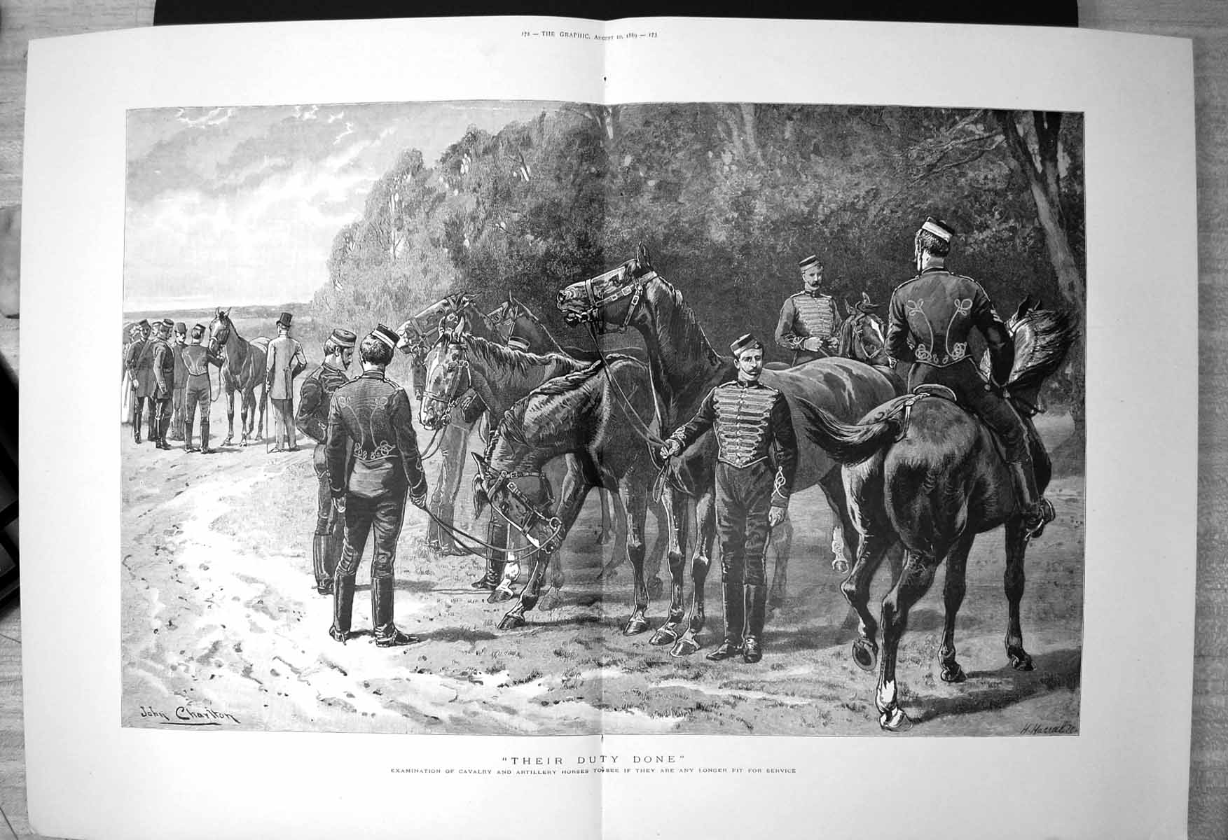 Old Print Their Duty Done Examination Cavalry Horses Fit For Service 1889 19th