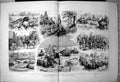 Old Print Tiger Shooting Lower Bengal Edge Jungle Coup De Grace Home 1879 19th