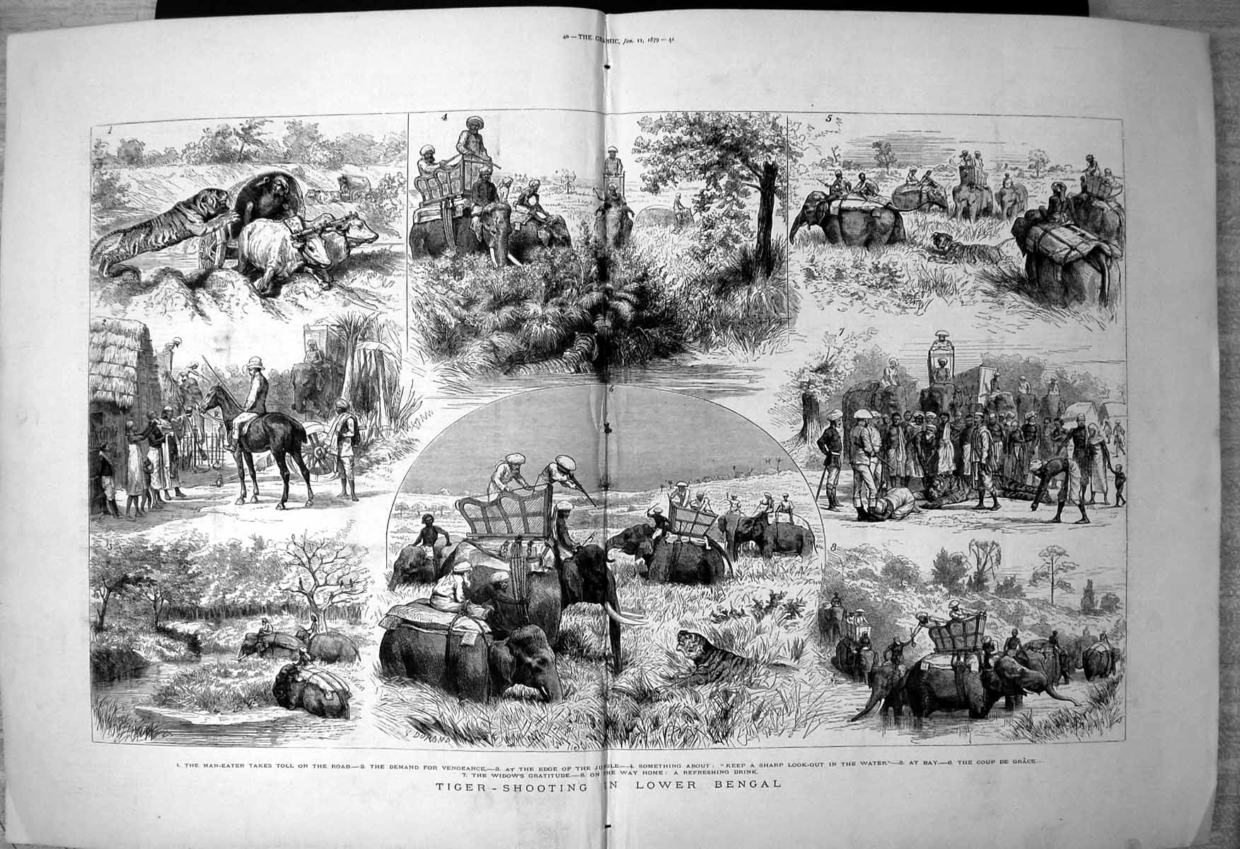 Old Print Tiger Shooting Lower Bengal Edge Jungle Coup De Grace Home 1879 19th