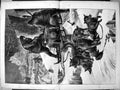 Antique Print Arctic Expedition Dog Sledge Preparing To Start Loading 1876 19th