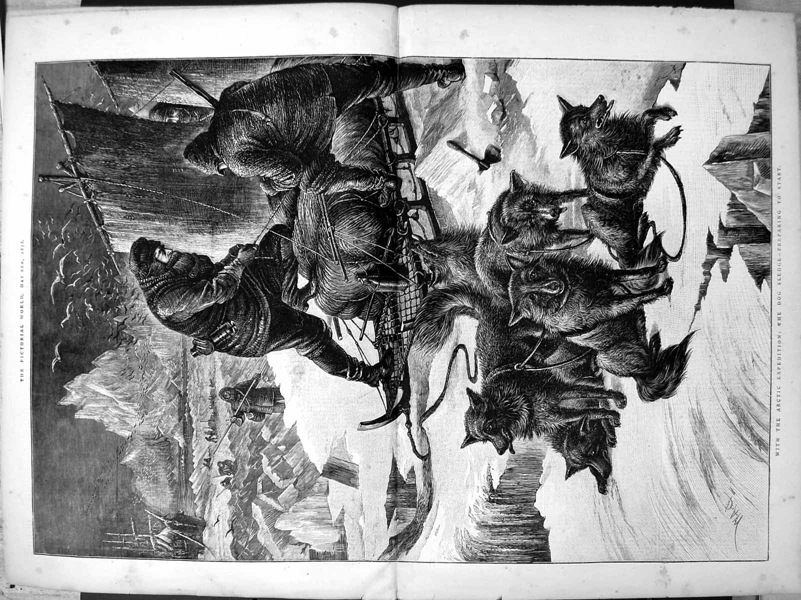 Antique Print Arctic Expedition Dog Sledge Preparing To Start Loading 1876 19th