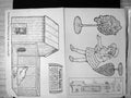 Old Antique Print Higgledy Piggledy Hen House Girl Bushes To Make A Scene