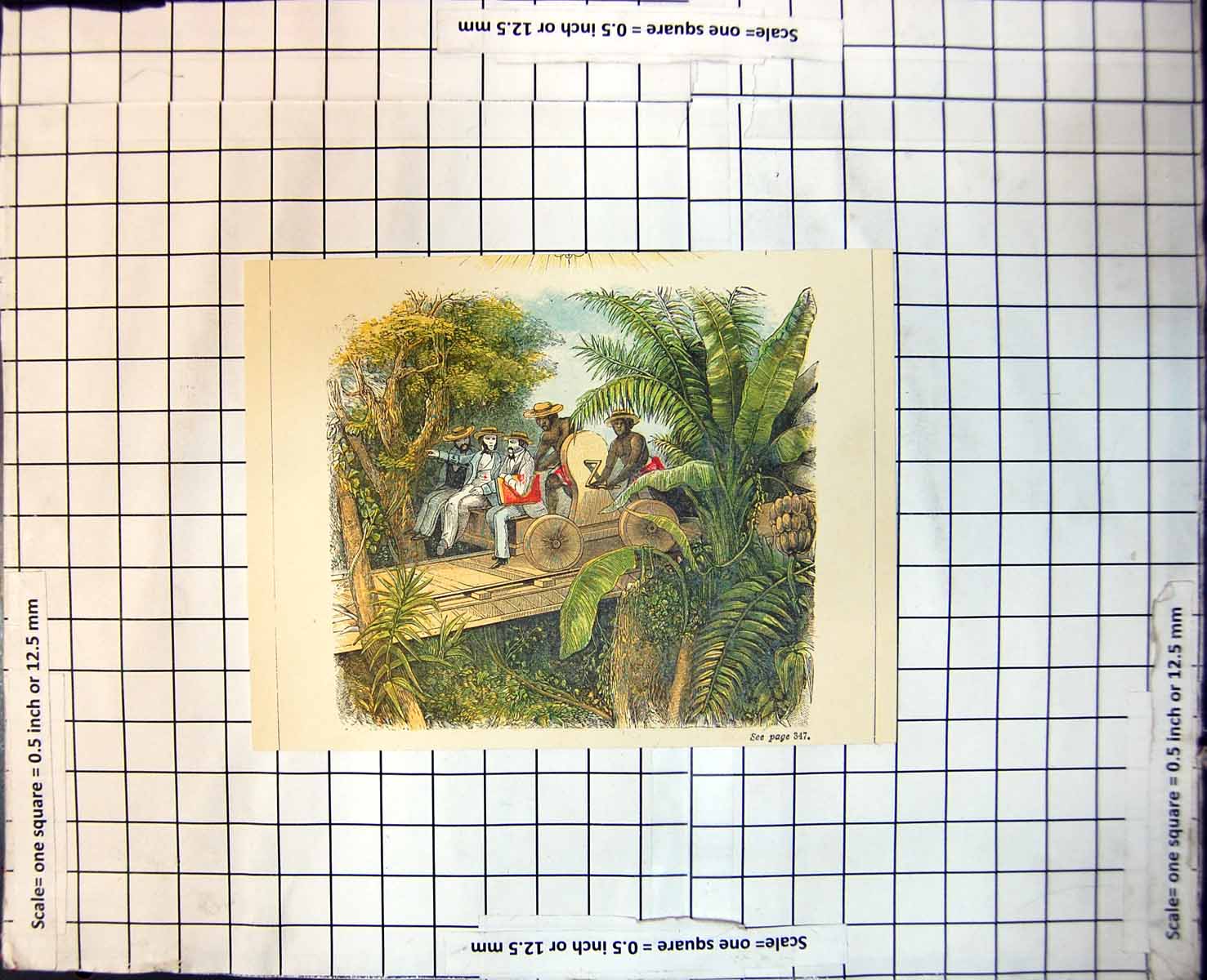 Old Native Powered Rail Truck Carrying White Men Banana Tree C1888 123J 19th