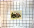 Old House Charlcote Village Exposed Timbers Plastered Walls Tiles 127J