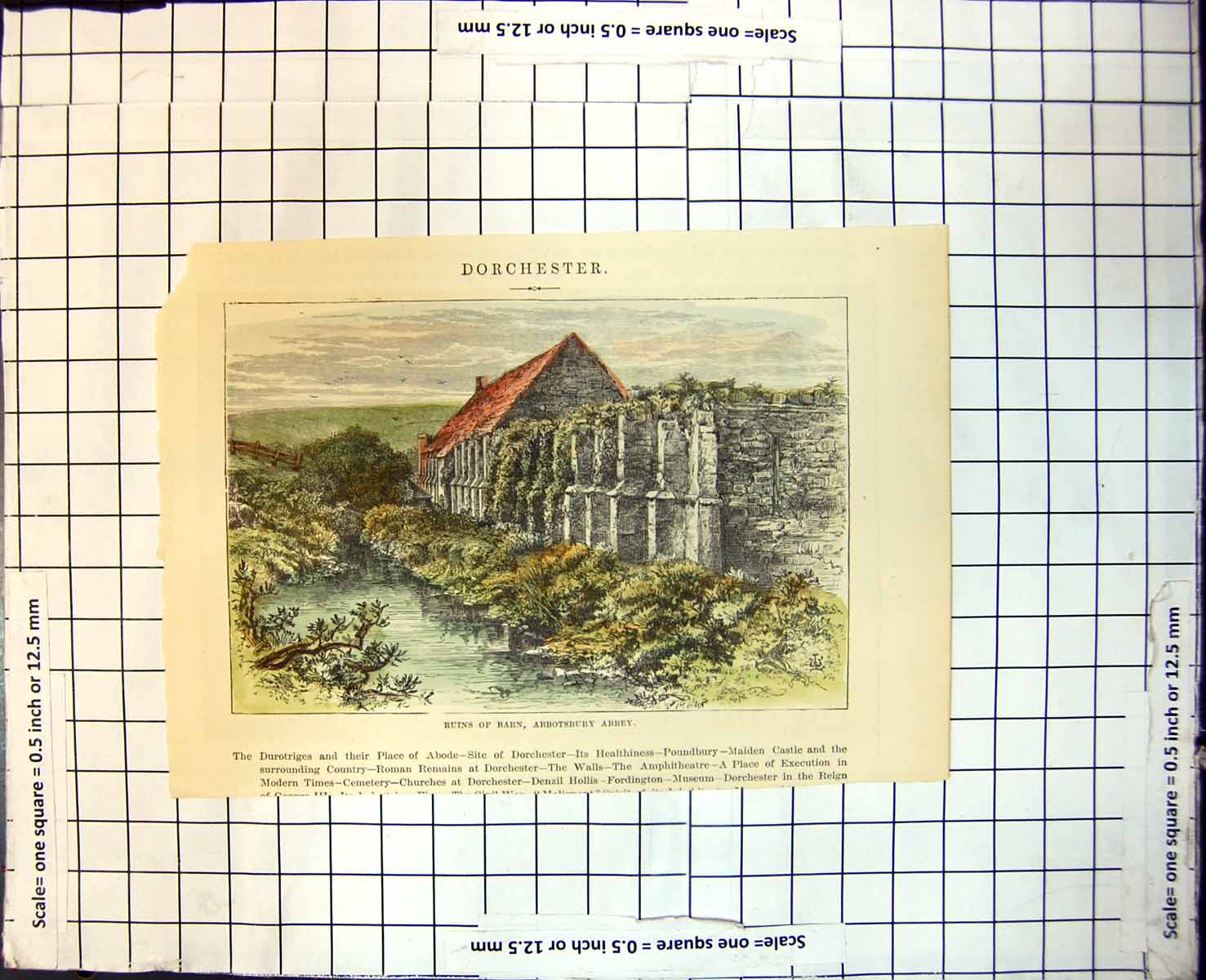 Antique Print Ruins Barn Abbotsbury Abbey Dorchester Water Side Foliage 131J