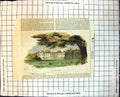 Old Print Goodwood House View Across Sheep Fields Tree Columns Bushes 138J