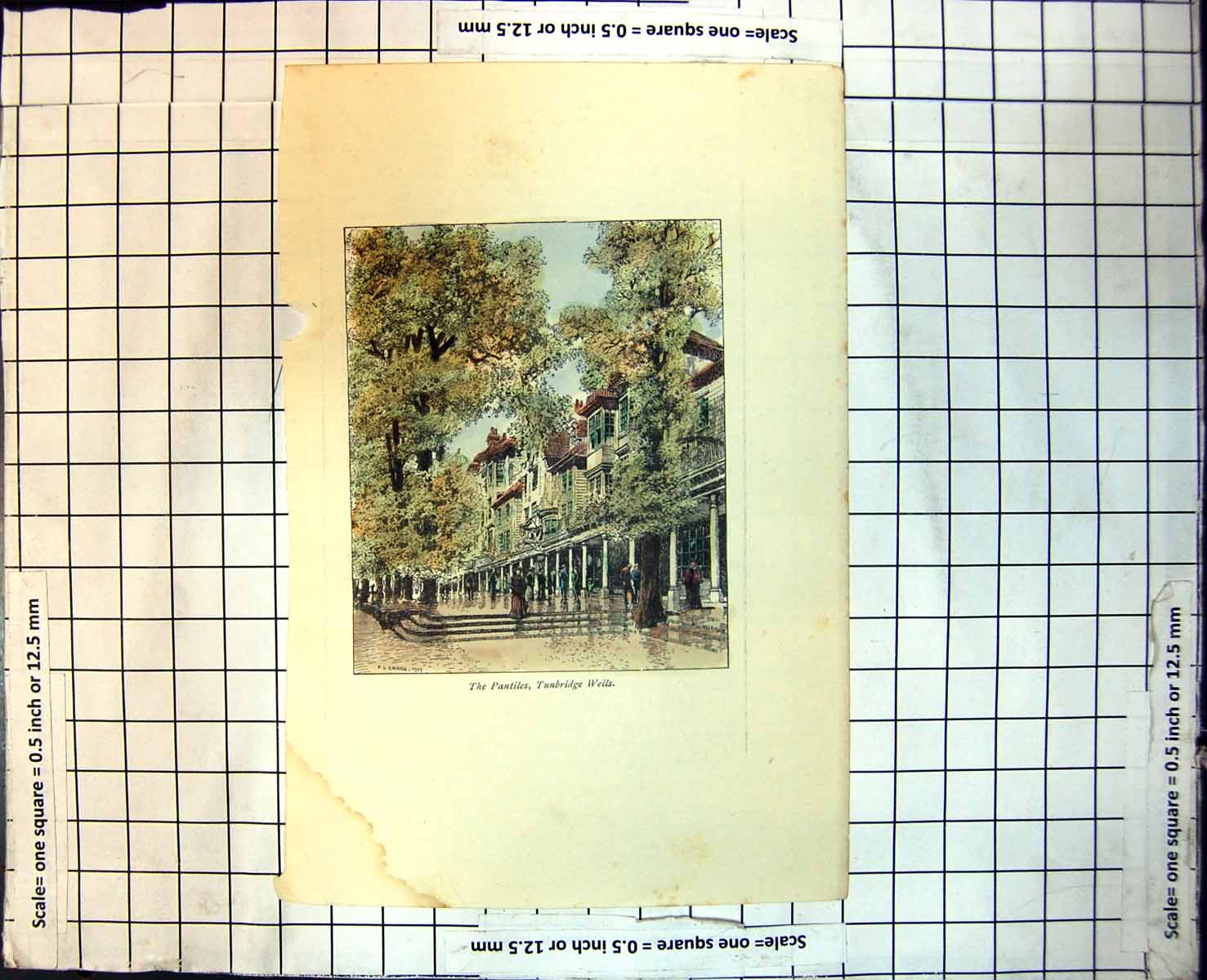 Old Print The Pantiles Tunbridge Wells Trees Columns Buildings People 139J