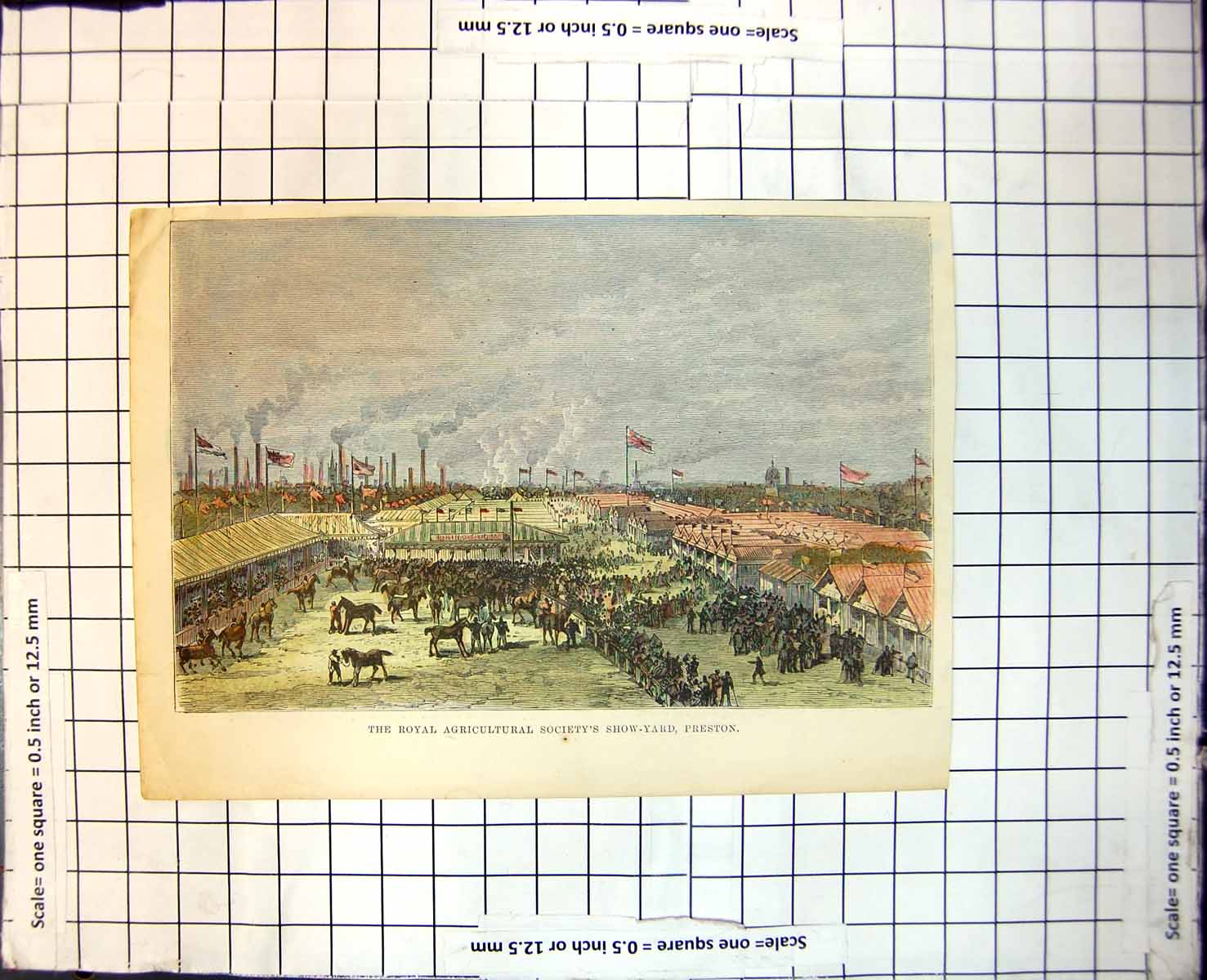Old Royal Agricultural Society'S Show-Yard Preston Horses People 160J