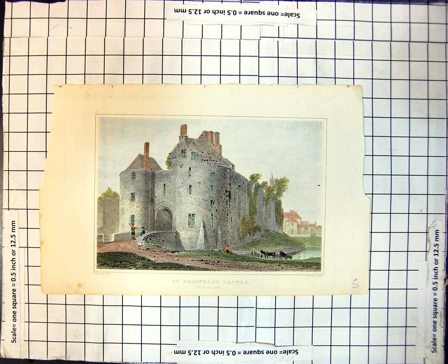 Old St. Briavell'S Castle Gloucestershire Moated Entrance Cattle 204J