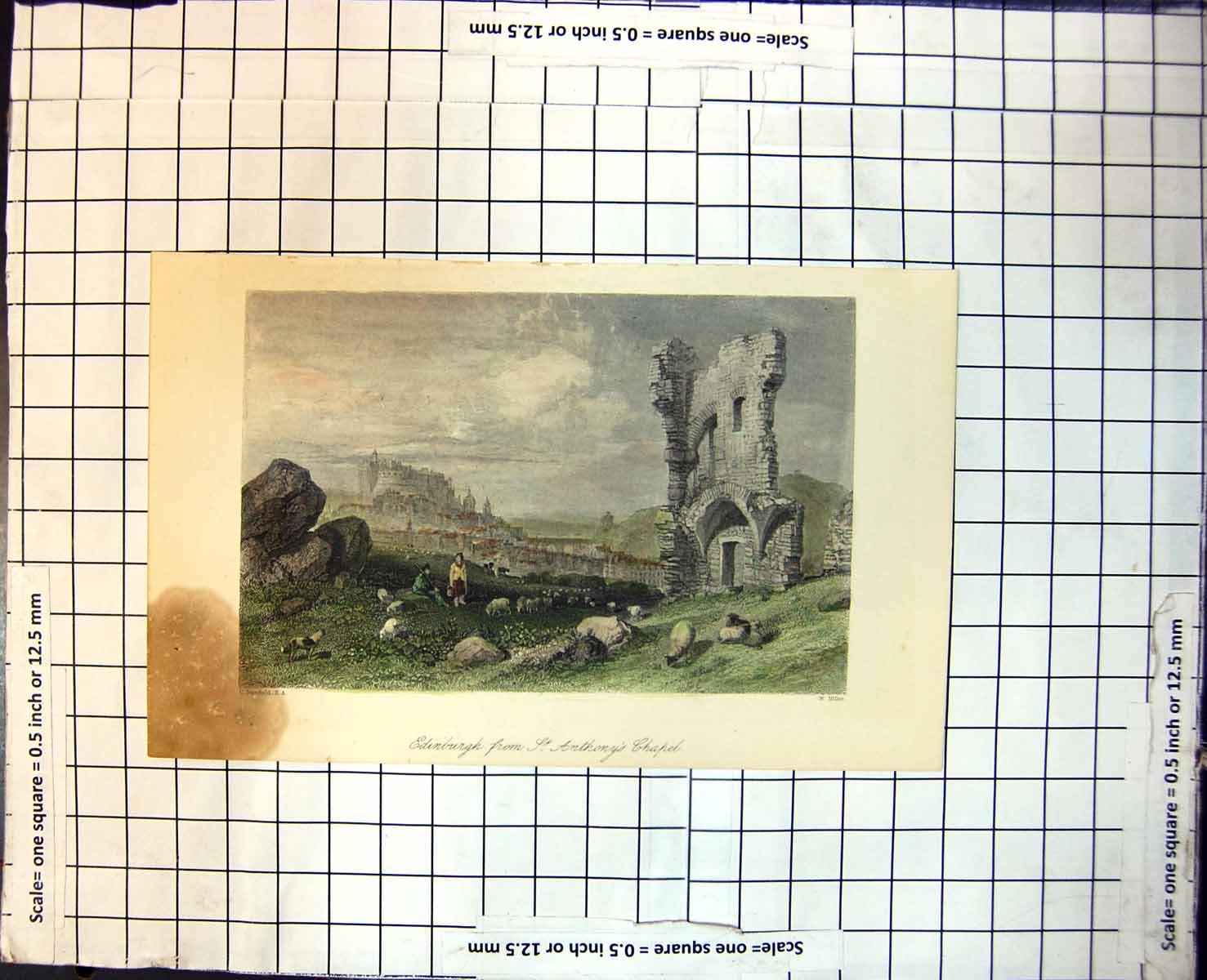 Old Edinburgh From St. Anthony'S Chapel Ruins Boys Sheep Castle City 211J