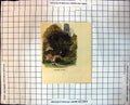Antique Old Print Bramber Castle West Sussex England Trees Houses People 215J