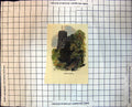 Antique Print Lewes Castle East Sussex England Tower Trees Wooden Steps 248J