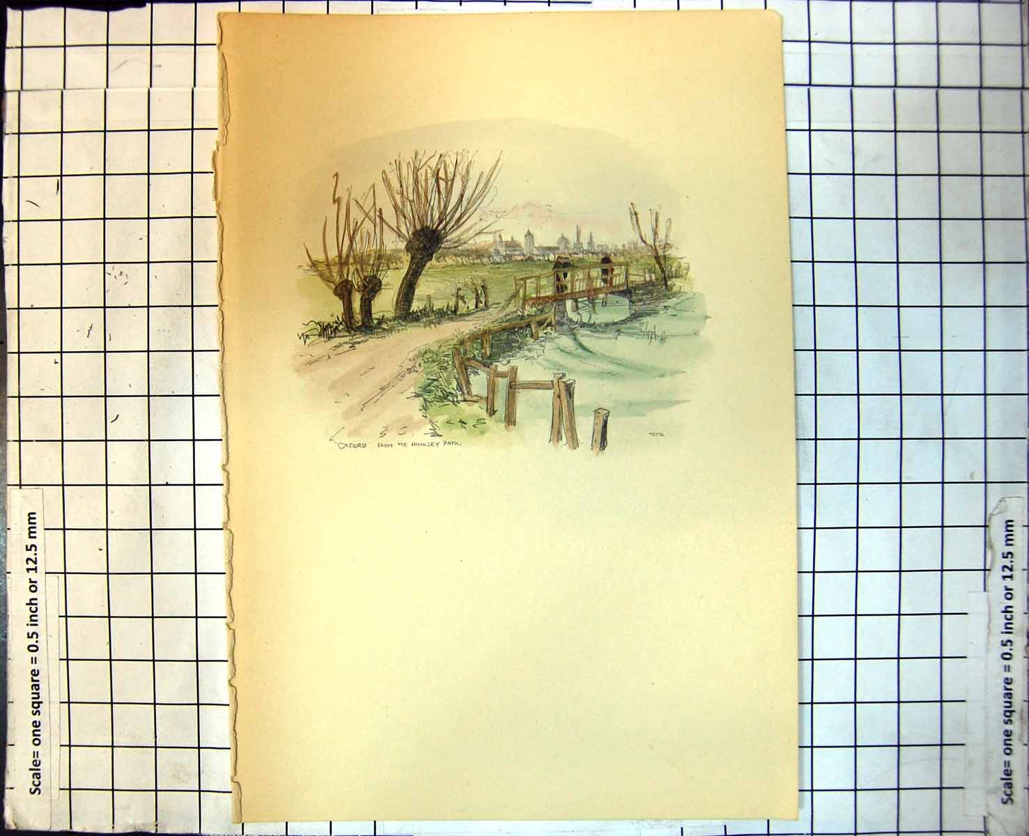 Antique Print Oxford From Hinksey Path Pollarded Trees Waterside People 250J