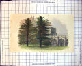 Old Print In The Cloisters Arches Columns Stonework Trees Grass 1872 253J 19th