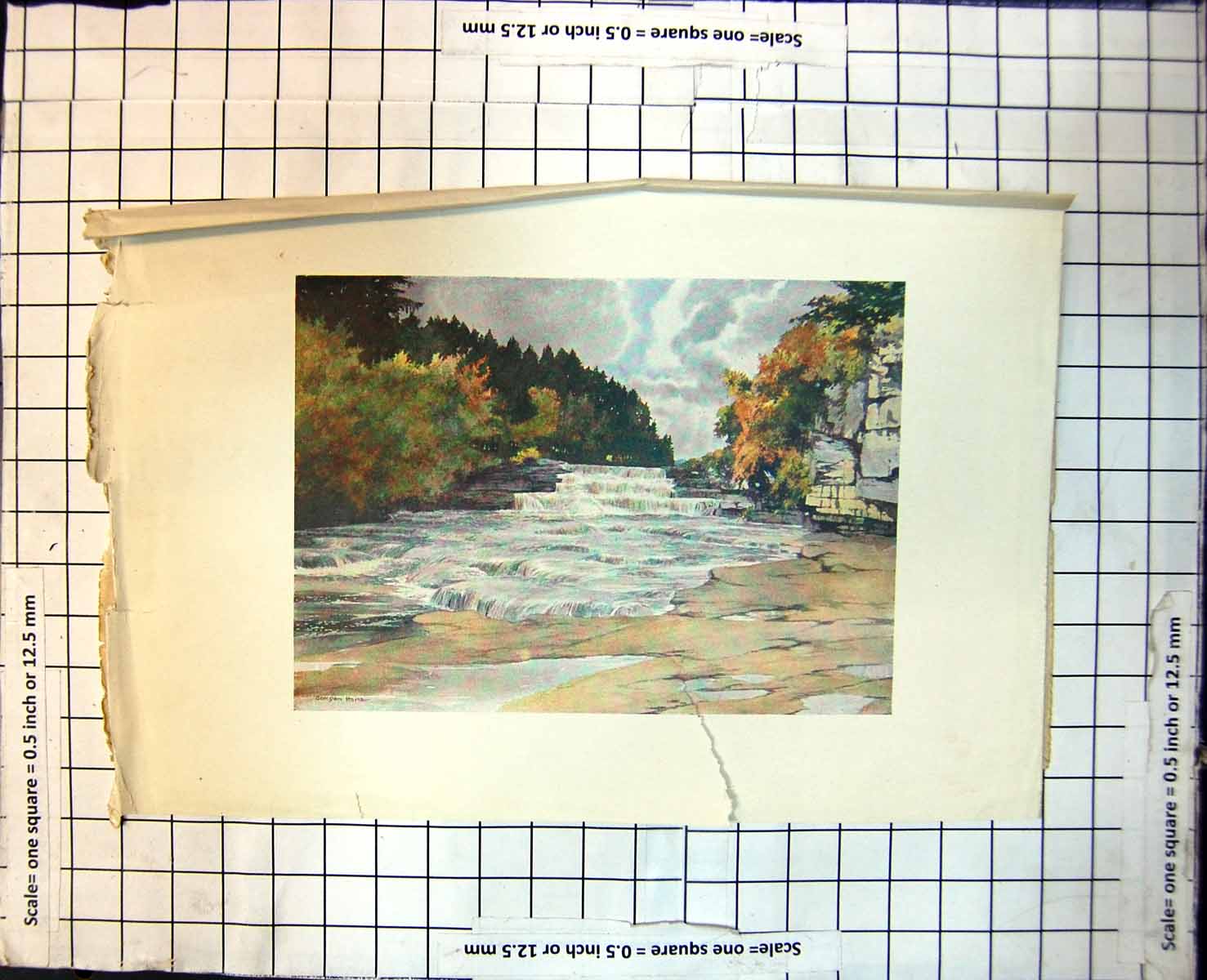 Old Aysgarth Force River Ure Wensleydale Series Ledges Waterfalls 273J