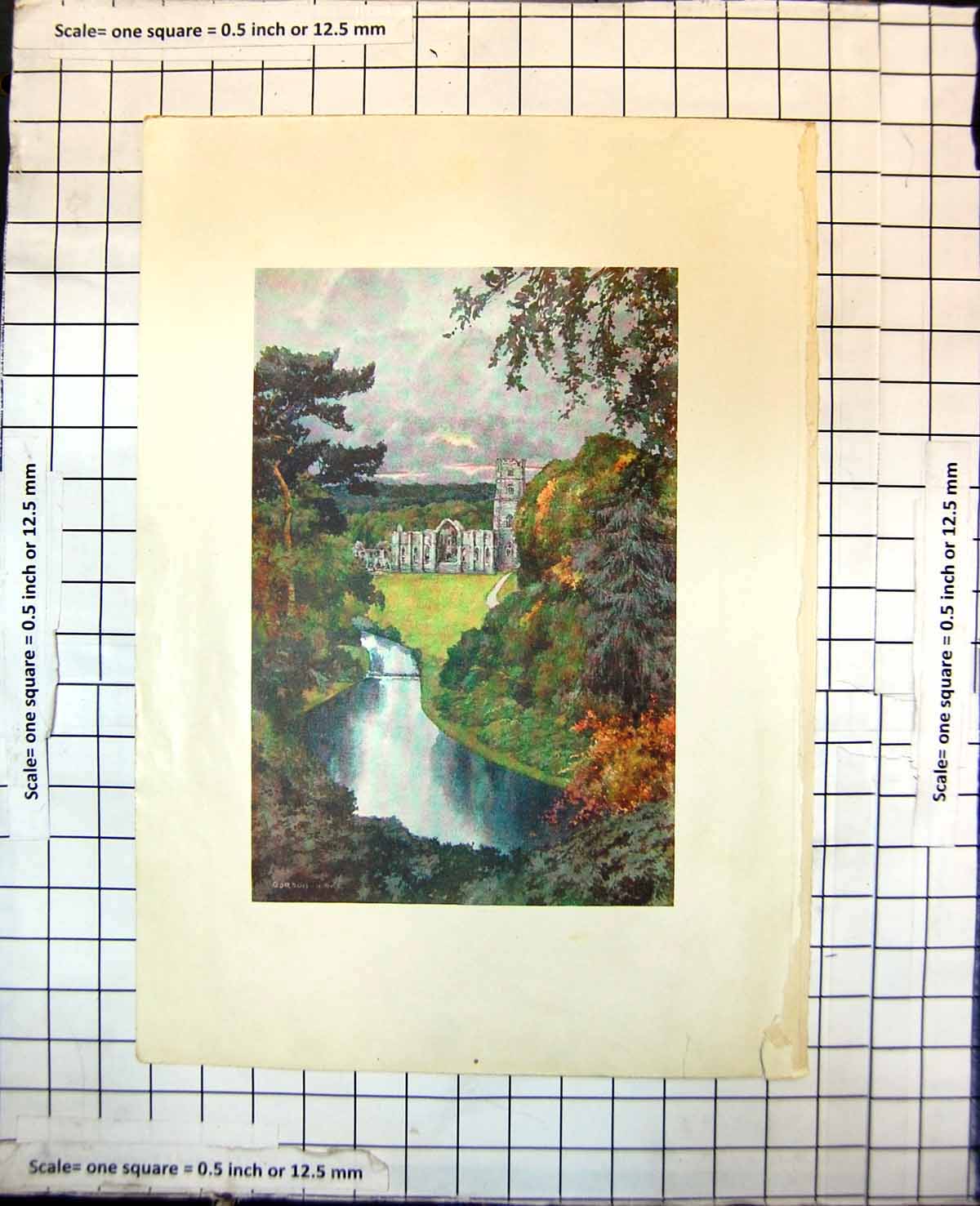 Old Fountains Abbey Ripon (?) Yorkshire Tower Ruins Trees Waterway 274J