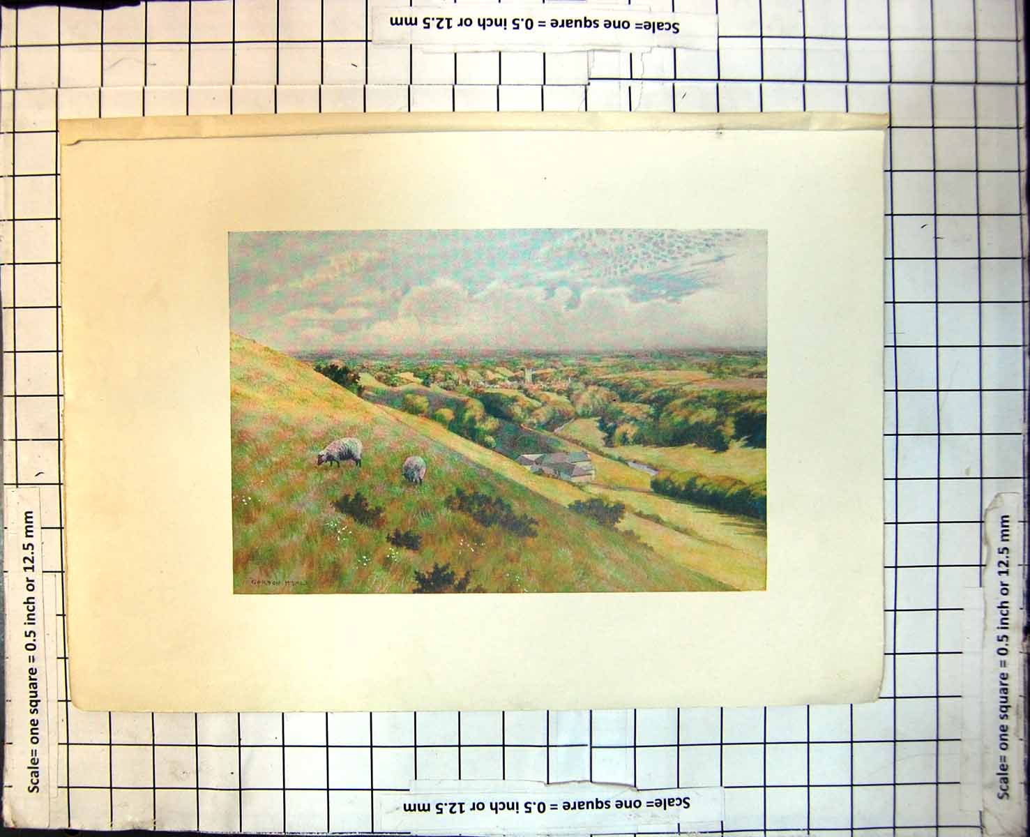 Old Richmond From West Ferile Wooded Country Castle Tower Churches 283J