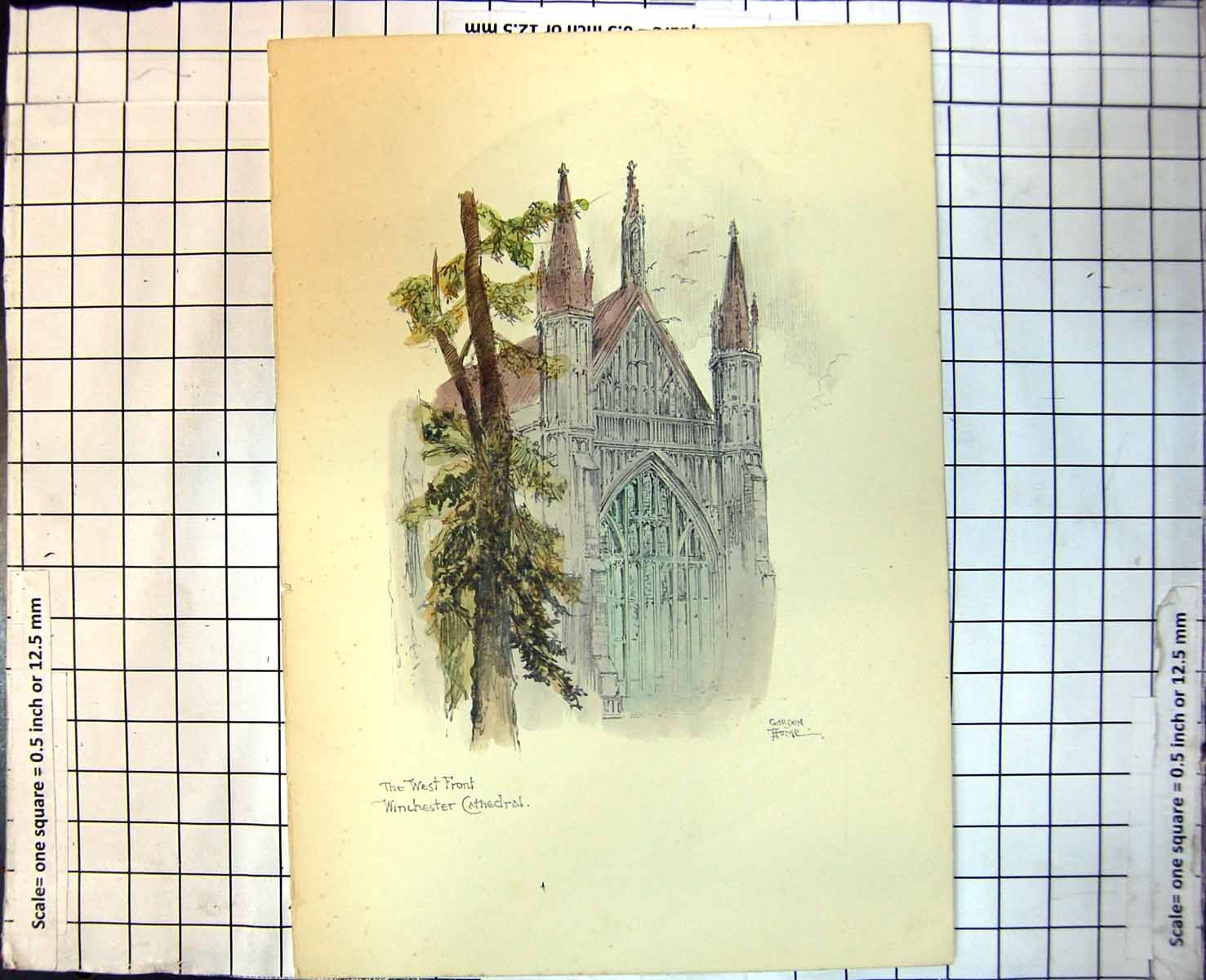 Antique Print West Front Winchester Cathedral Gordon Home Exterior Tree 287J
