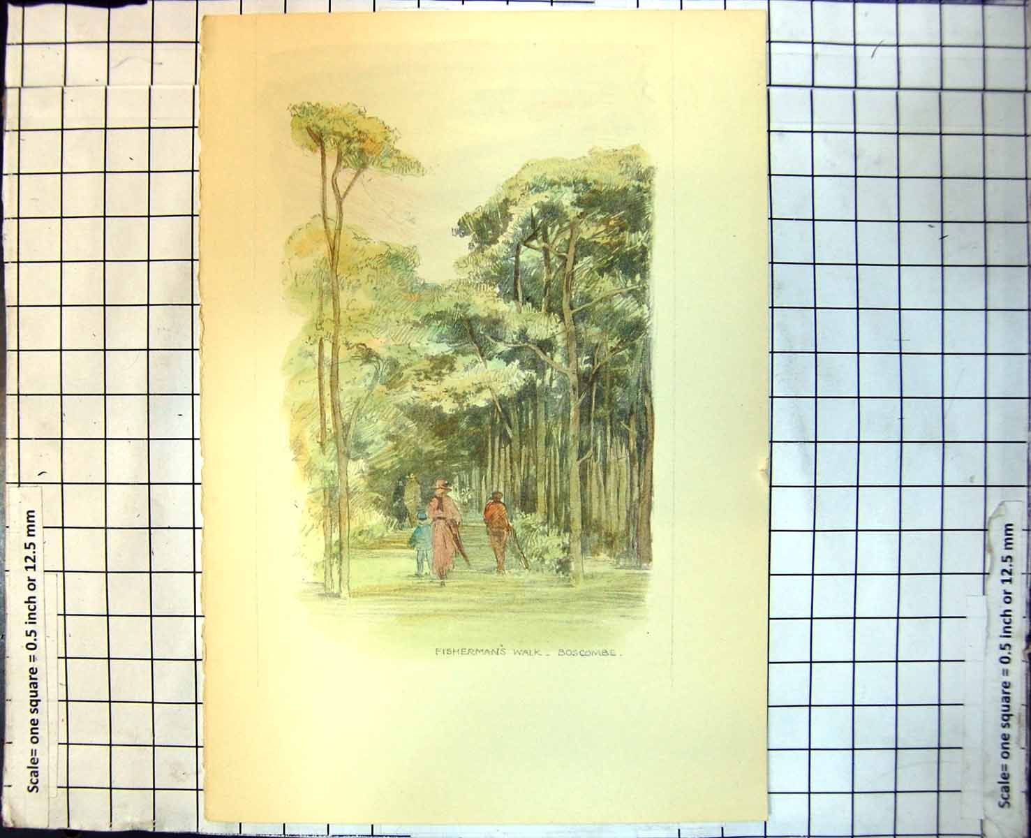 Old Fisherman'S Walk Boscombe Open Grassy Tree Lined People Walking 318J