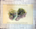 Old Print Bridge Garry Scotland River Scene Rocks Water Trees Foliage 323J