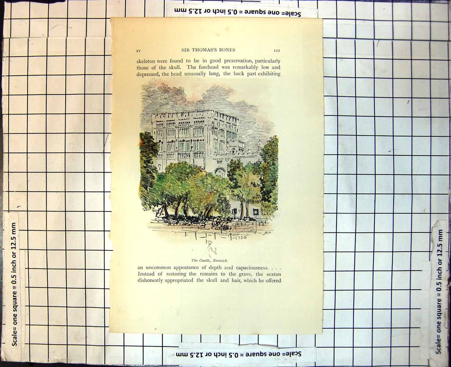 Old Print The Castle Norwich Imposing Sqaure Tower Trees People Arch 328J