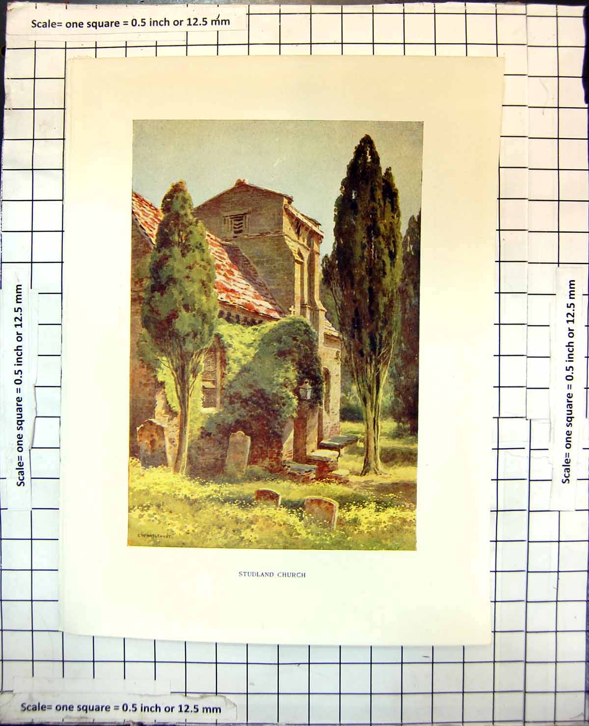 Old Print Studland Church E.W. Haslehurst Tiled RoIvy Trees Graveyard 355J