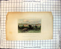 Old Town Leicester Leicestershire Horses Wagon Tree Trunks Buildings 366J